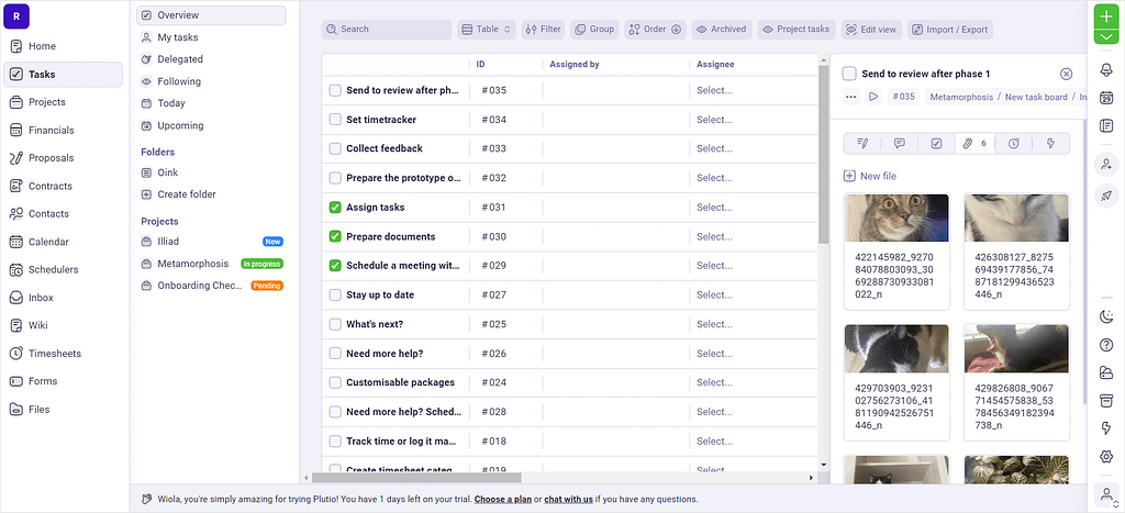 Screenshot of Plutio's task management tab.