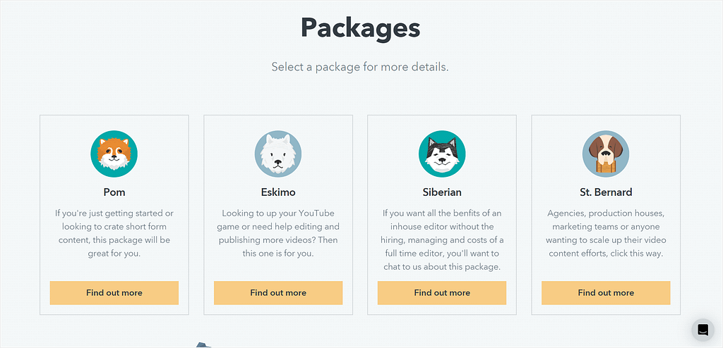 Video Husky's subscription plans that showcase their brand identity