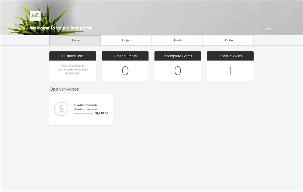 Dubsado's client portal