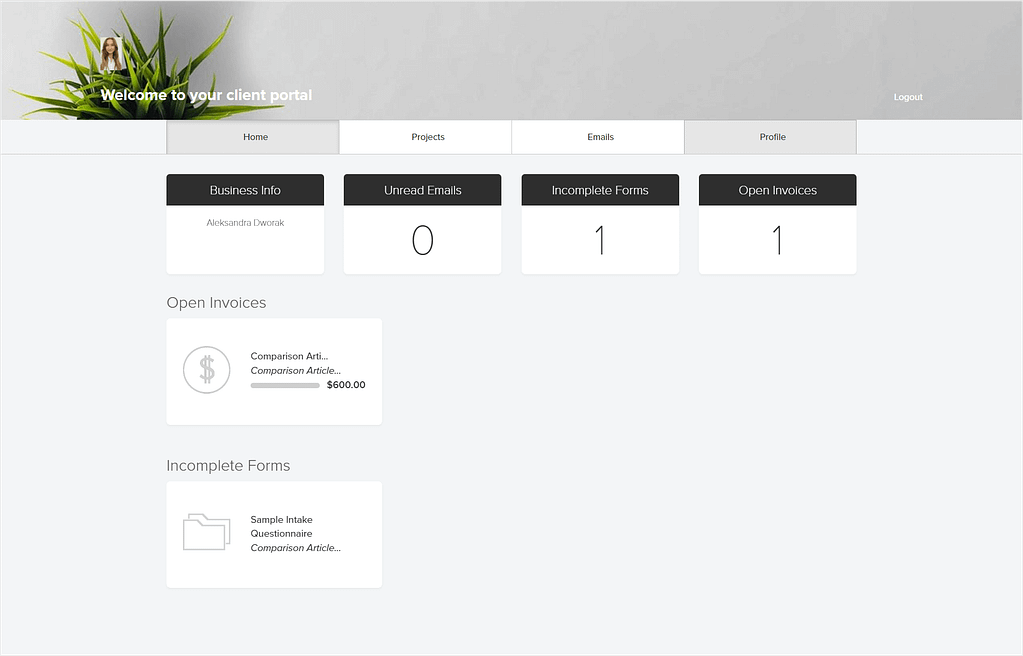 Dubsado's client portal