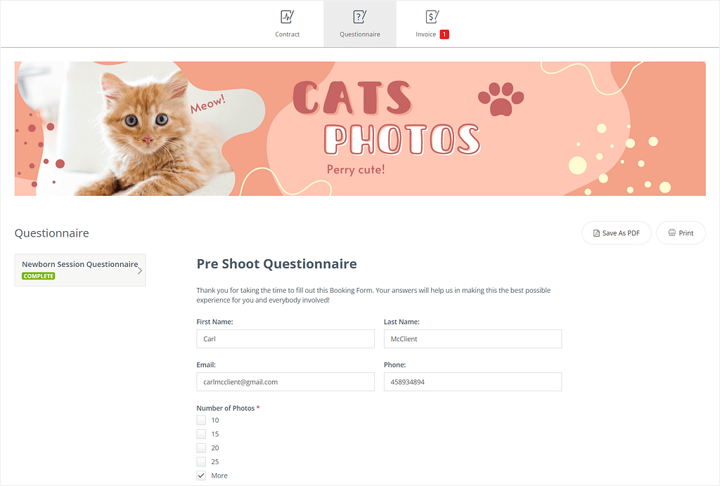 Studio Ninja's client portal