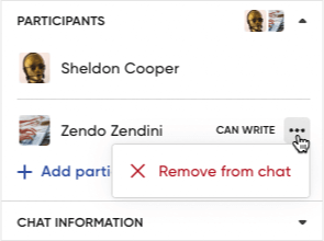 screenshot showing removing participants from chat