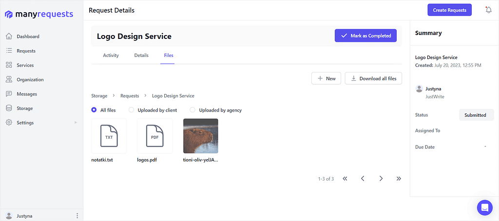 Screenshot of ManyRequests' storage from client perspective.