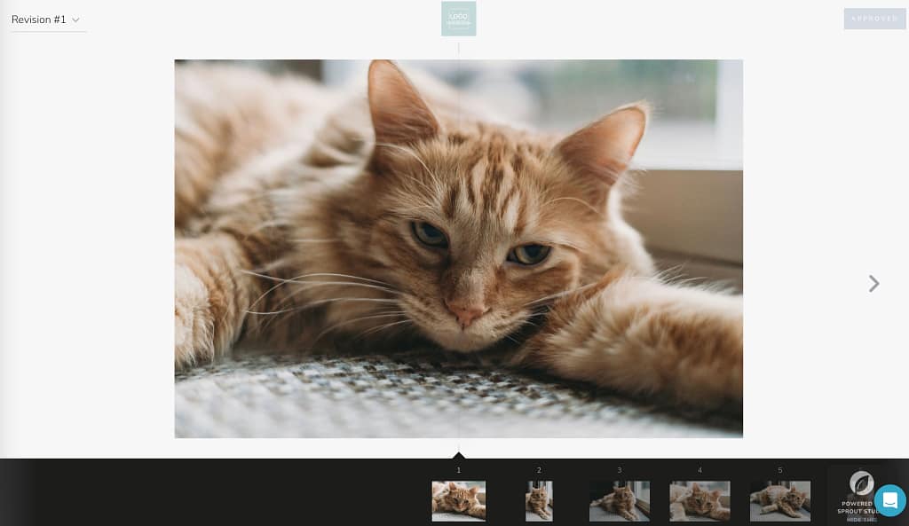 Sprout Studio's design proof