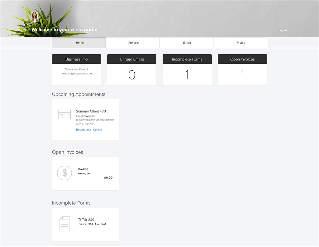 Dubsado's client portal