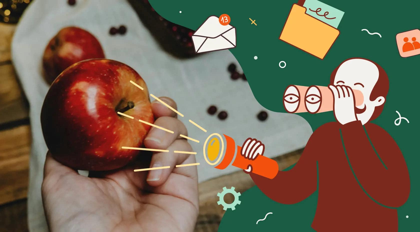 best vcita alternatives