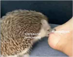 A meme saying that the client portal functionality is HoneyBook's Achilles heel
